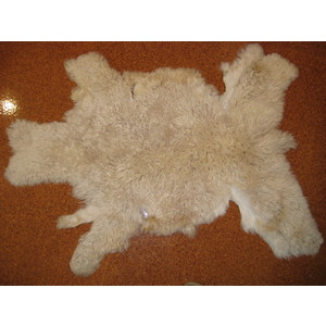 Alpaca Skins